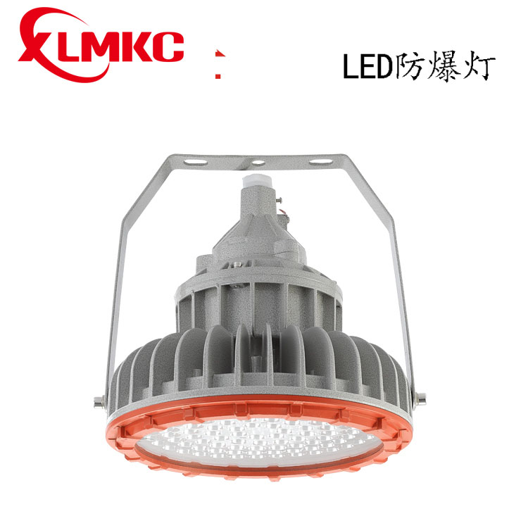 BZD180-101系列防爆免維護(hù)LED照明燈