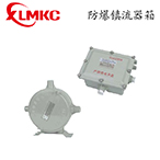 BdH系列防爆鎮(zhèn)流器(IIB、IIC)